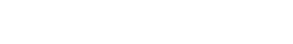 TECHY MN