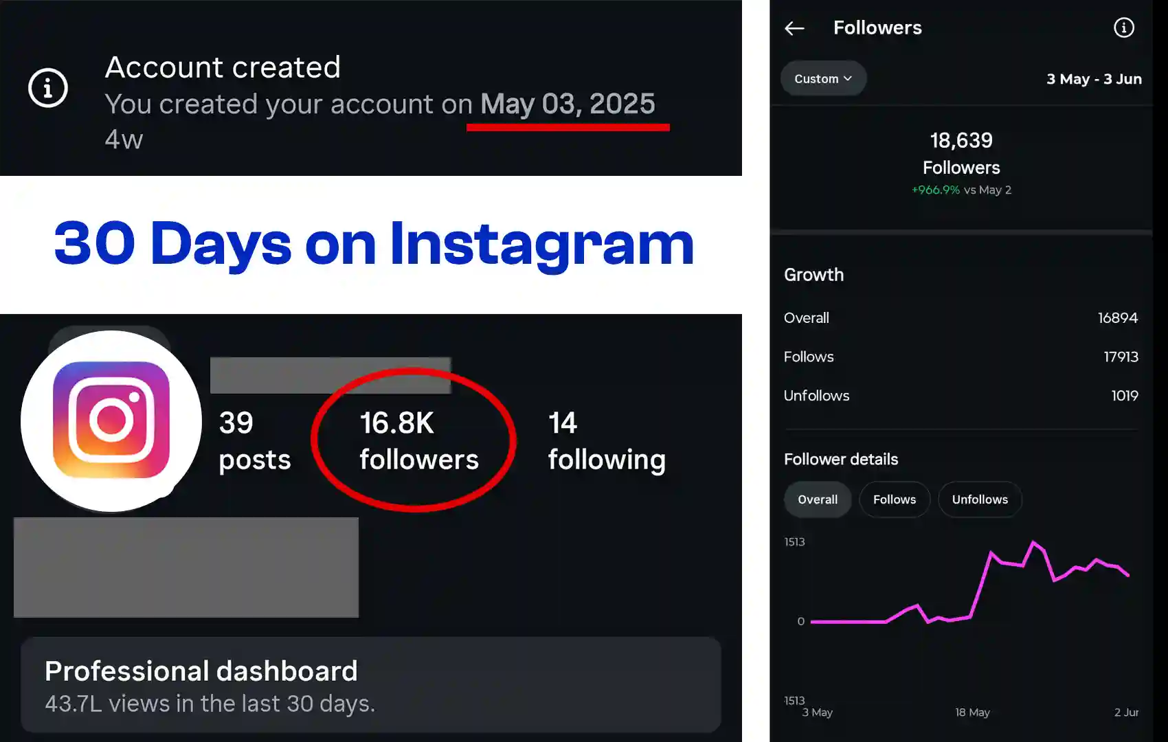 New Instagram Account Growth Proof in 30 Days
